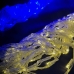 Світлодіодна гірлянда-завіса прозорий дріт Прапор України 120 LED Magic Lights ліхтарики 3 х 2 м мульти