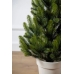Штучна ялинка Лапландська Весняна SIGA GROUP лита в горщику 0.7 м зелений