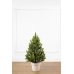 Штучна ялинка Лапландська Весняна SIGA GROUP лита в горщику 0.7 м зелений