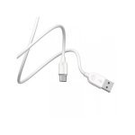 Кабель USB/Type-C 2 м BOROFONE BX14 2.4 A білий