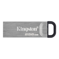 Флеш пам'ять USB 256 GВ Kingston Kyson USB 3.2 DT сріблястий