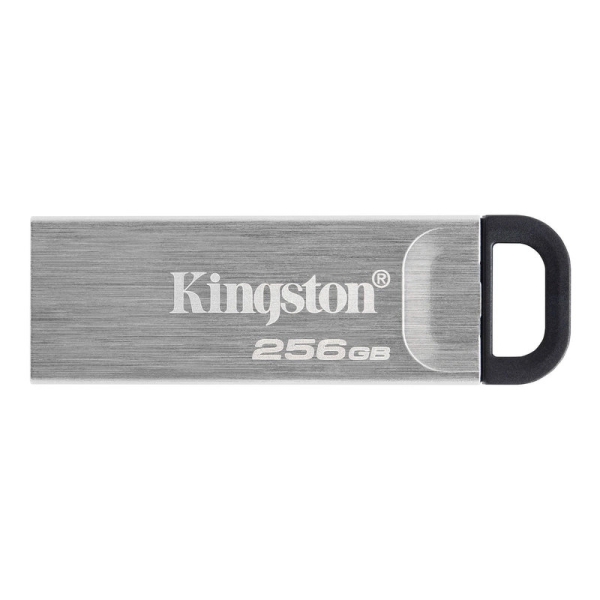 Флеш пам'ять USB 256 GВ Kingston Kyson USB 3.2 DT сріблястий
