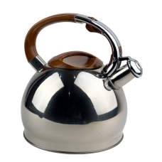 Чайник для плити Empire EM-7714 Нео нержавіюча сталь 3 л сріблястий