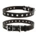 Нашийник для собак S Collar 01511 шкіра 20 мм безрозмірний 50 см чорний