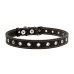 Нашийник для собак S Collar 01511 шкіра 20 мм безрозмірний 50 см чорний