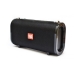 Колонка портативна T&G TG123 Bluetooth FM чорний