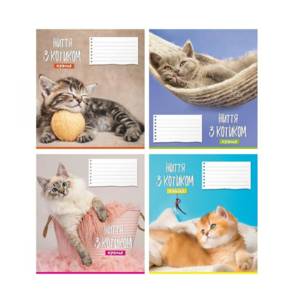Зошит 12 аркушів клітинка # Поліграфіст 968 Життя з котиком