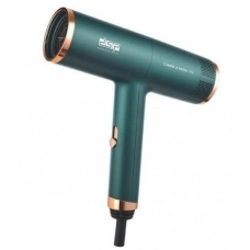 Фен з іонізацією DSP 30253 1200 Вт зелений