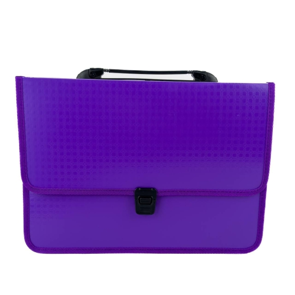 Папка-портфель А4 Economix E31641-12 пластик фіолетовий