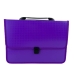 Папка-портфель А4 Economix E31641-12 пластик фіолетовий