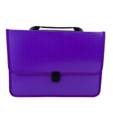 Папка-портфель А4 Economix E31641-12 пластик фіолетовий