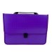 Папка-портфель А4 Economix E31641-12 пластик фіолетовий