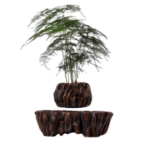 Магнітний левітаційний горщик для рослин HCNT Magnetic Levitating Pot M5B-PW Brown new