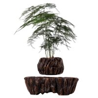 Магнітний левітаційний горщик для рослин HCNT Magnetic Levitating Pot M5B-PW Brown new