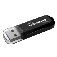 Флеш пам'ять USB 128 GB Wibrand Marten USB 3.2 Gen1 чорний