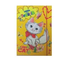 / Папка для тетрадей В5 ПЗ-1 на рез.