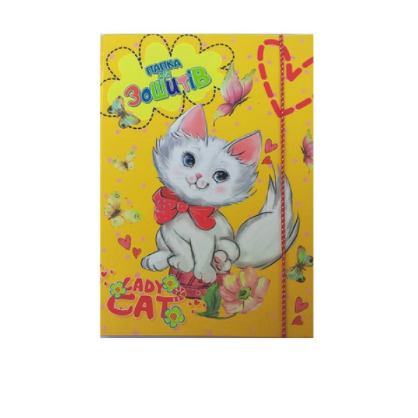 / Папка для тетрадей В5 ПЗ-1 на рез.