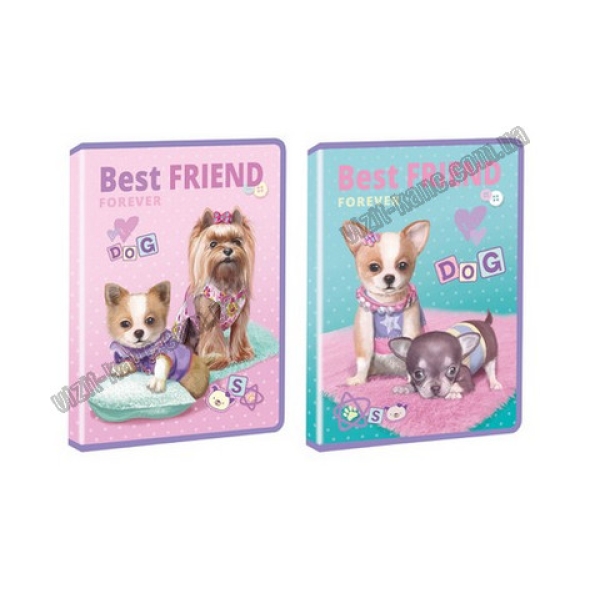 / Тека А4 на блискавці, пластикова, з глітером KIDIS , серія BEST FRIEND (собачки)