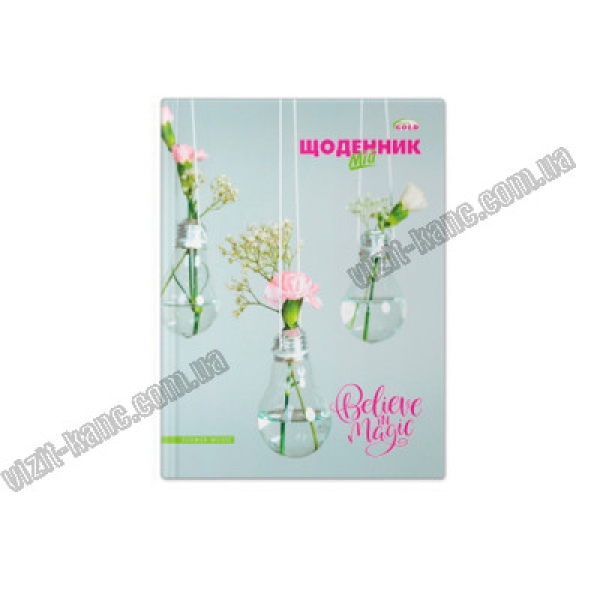 / Щоденник А5 70г, А, інтегр.обкл,ляссе-30, недатований (138*197мм), 320стор, диз.17175