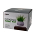 Магнітний левітаційний горщик для рослин HCNT Magnetic Levitating Pot M10-GW4 Black new Магнітний левітаційний горщик для рослин HCNT Magnetic Levitating Pot M10-GW4 Black new