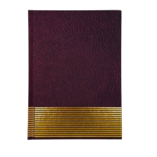 Щоденник недатований А5 лінія 288 аркушів Buromax BM2052-13 Parallel бордовий