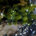 Світлодіодна гірлянда-нитка чорний дріт 200 LED Xmas рубін 15 м 8 режимів білий