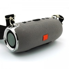 / Портативна Bluetooth колонка JBL X-Treme Mini сіра