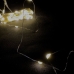 Світлодіодна гірлянда-нитка прозорий дріт 50 LED Magic Lights на батарейках 5 м теплий білий