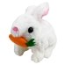 Інтерактивна іграшка Кролик в переносці CH6010 зі звуковими ефектами 16 см білий Інтерактивна іграшка Кролик в переносці CH6010 зі звуковими ефектами 16 см білий