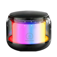 Колонка портативна WUW R213 Bluetooth LED чорний