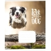 Зошит 12 аркушів лінія = Школярик 2795 Love my dog