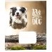 Зошит 12 аркушів лінія = Школярик 2795 Love my dog