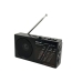 Радіоприймач Golon RX-921BT MP3 з акумулятором чорний