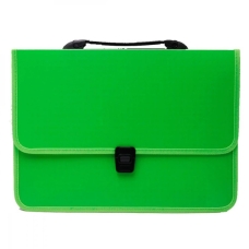 Папка-портфель А4 Economix E31641-13 пластик зелений