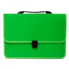 Папка-портфель А4 Economix E31641-13 пластик зелений