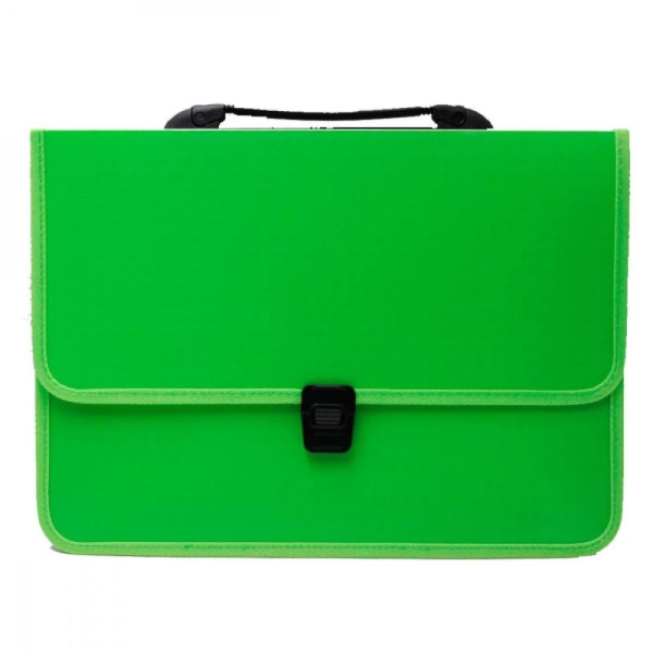 Папка-портфель А4 Economix E31641-13 пластик зелений