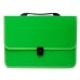 Папка-портфель А4 Economix E31641-13 пластик зелений