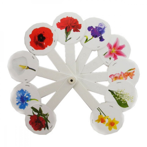 / Веер цветы