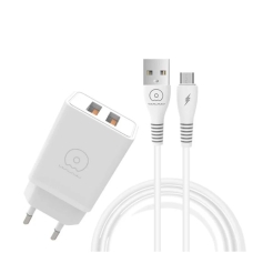 Мережевий зарядний пристрій з кабелем WUW-T55 2USB/3.1A set micro new