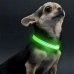 Нашийник текстильний з підсвіткою для собак XL 55 см від батарейки зелений