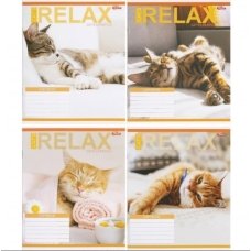 / Тетрадь цветная 24 листа, линия 3451