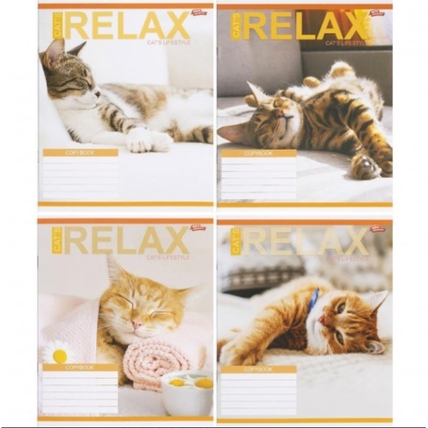 / Тетрадь цветная 24 листа, линия 3451