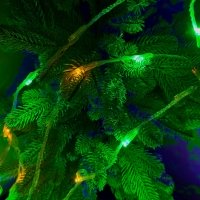 Світлодіодна гірлянда-завіса прозорий дріт 240 LED RD-080 ліхтарики 8 режимів мульти