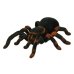 Павук на радіокеруванні 29 см 781 світлові ефекти чорний з коричневим