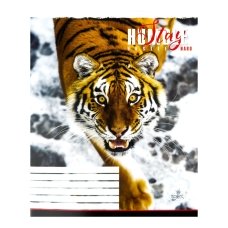 Зошит 96 аркушів лінія = Бріск ТВ-17 Тигр