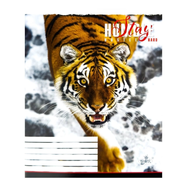 Зошит 96 аркушів лінія = Бріск ТВ-17 Тигр