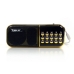 Радіоприймач BKK B837 USB MP3 червоний з золотистим